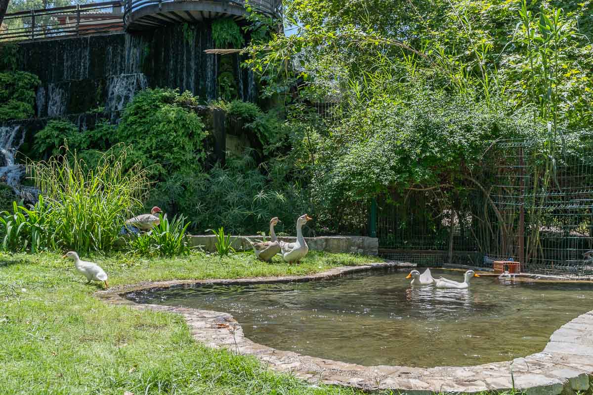 İnlice ‘de Doğanın İçinde Satılık Modern Villa