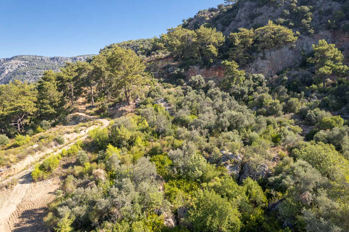 Panoramik Deniz Manzaralı Satılık Arazi