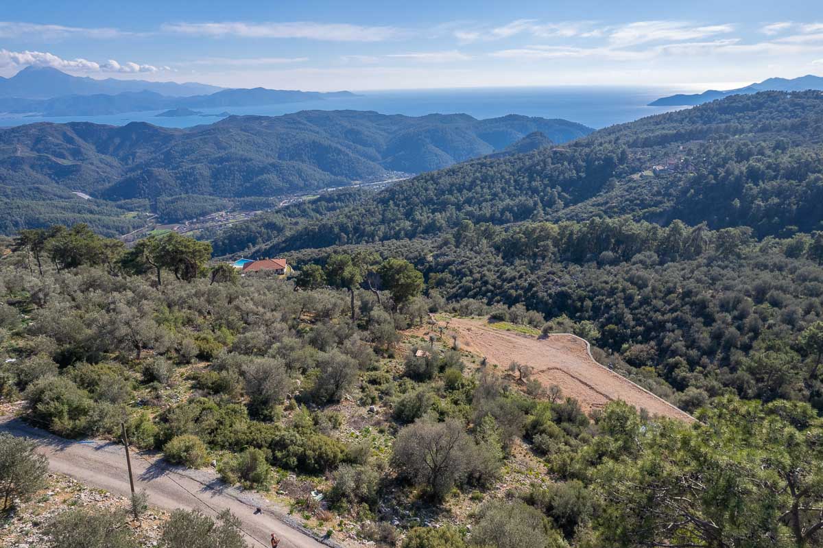 Orman İçinde Deniz Manzaralı Arazi