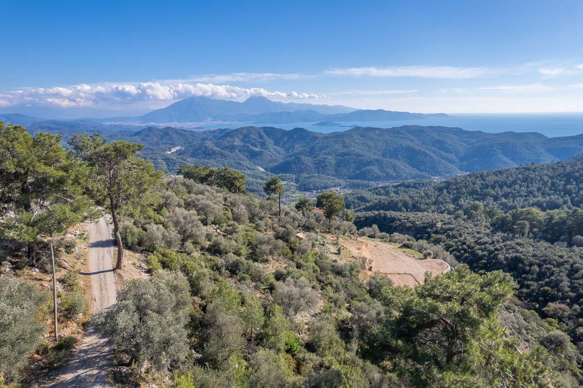 Orman İçinde Deniz Manzaralı Arazi