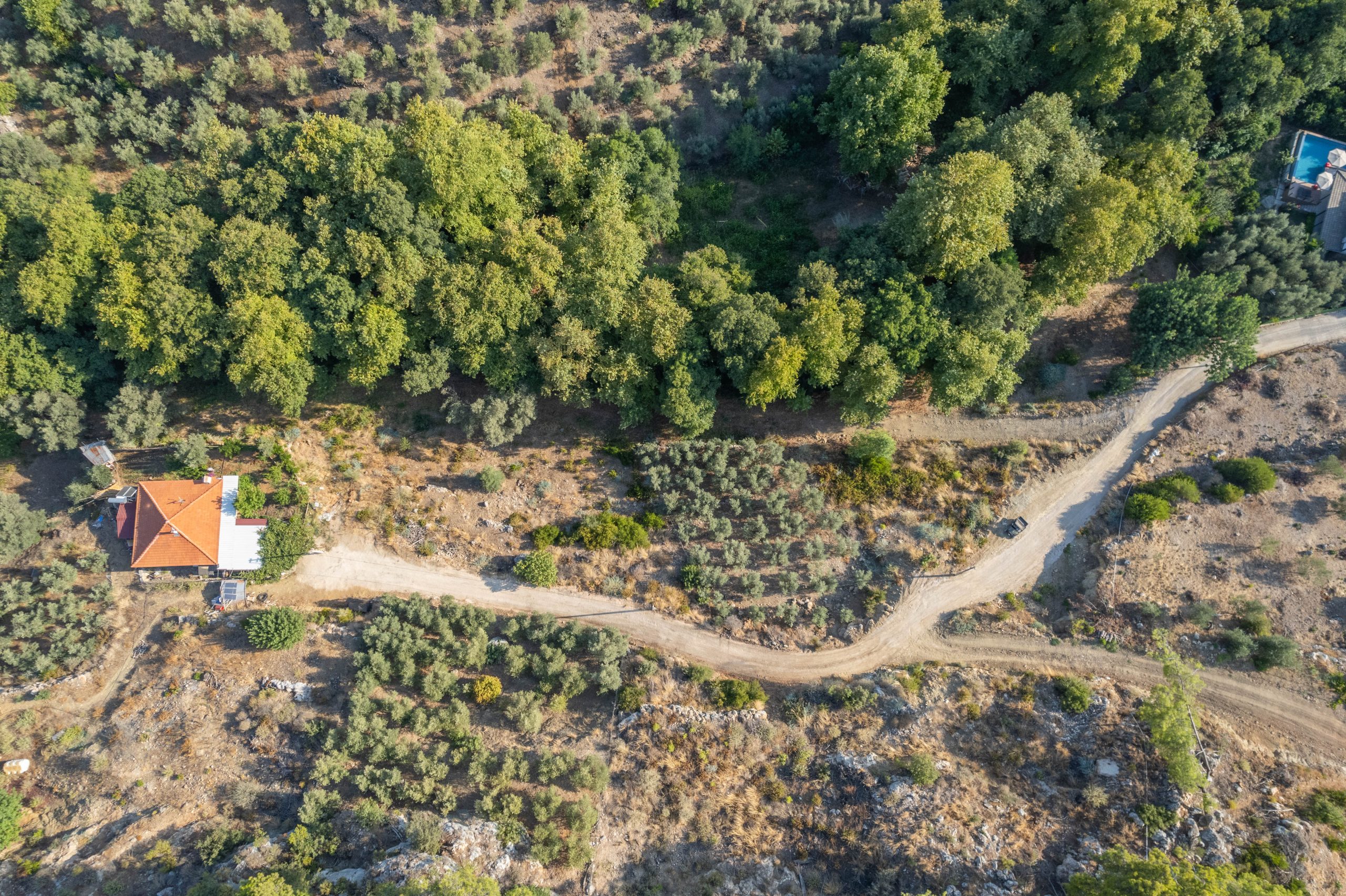 Göcek’in Saklı Cenneti: İnlice’de Dere Kenarında 2476 m² Arazi