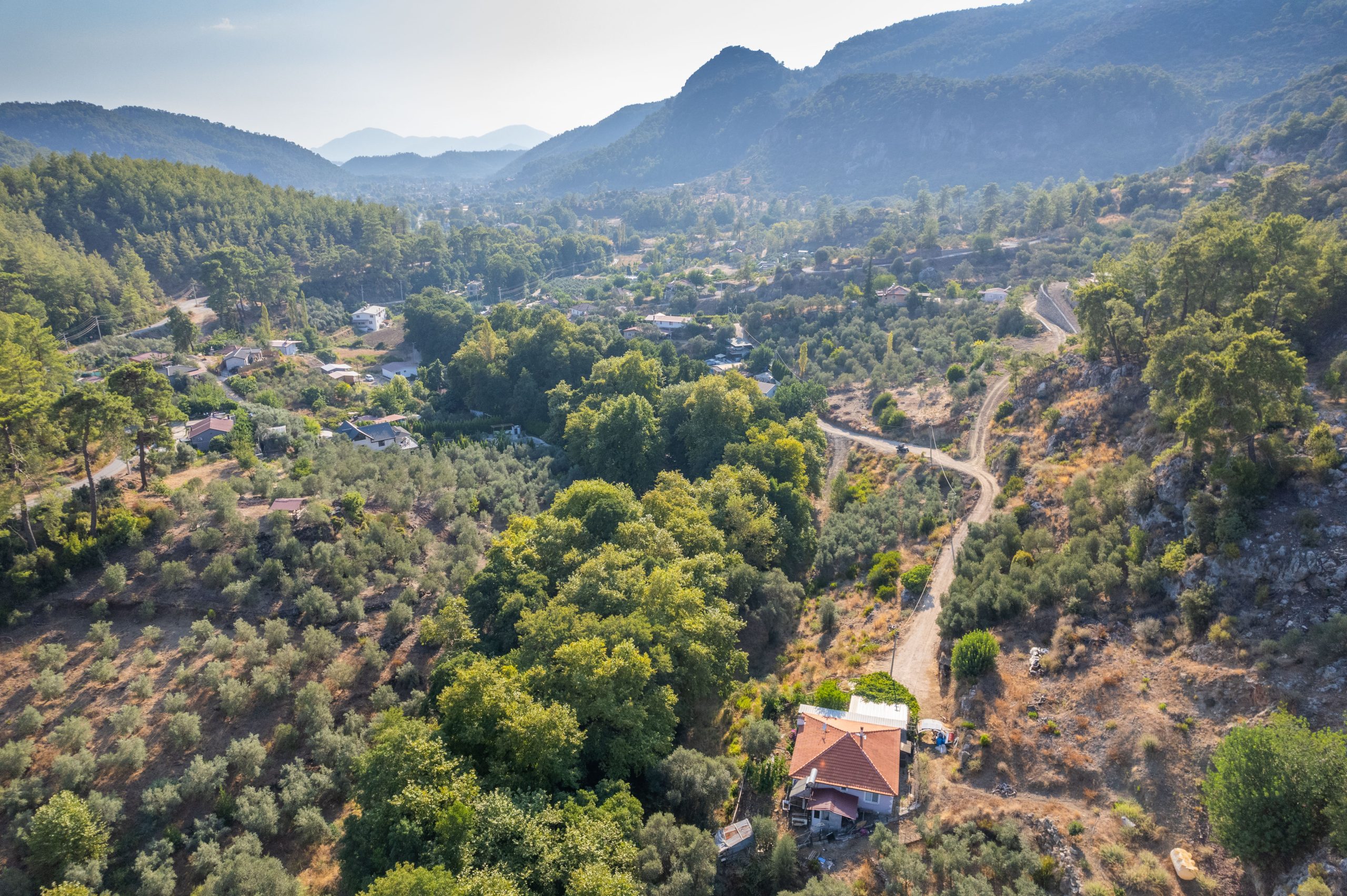 Göcek’in Saklı Cenneti: İnlice’de Dere Kenarında 2476 m² Arazi