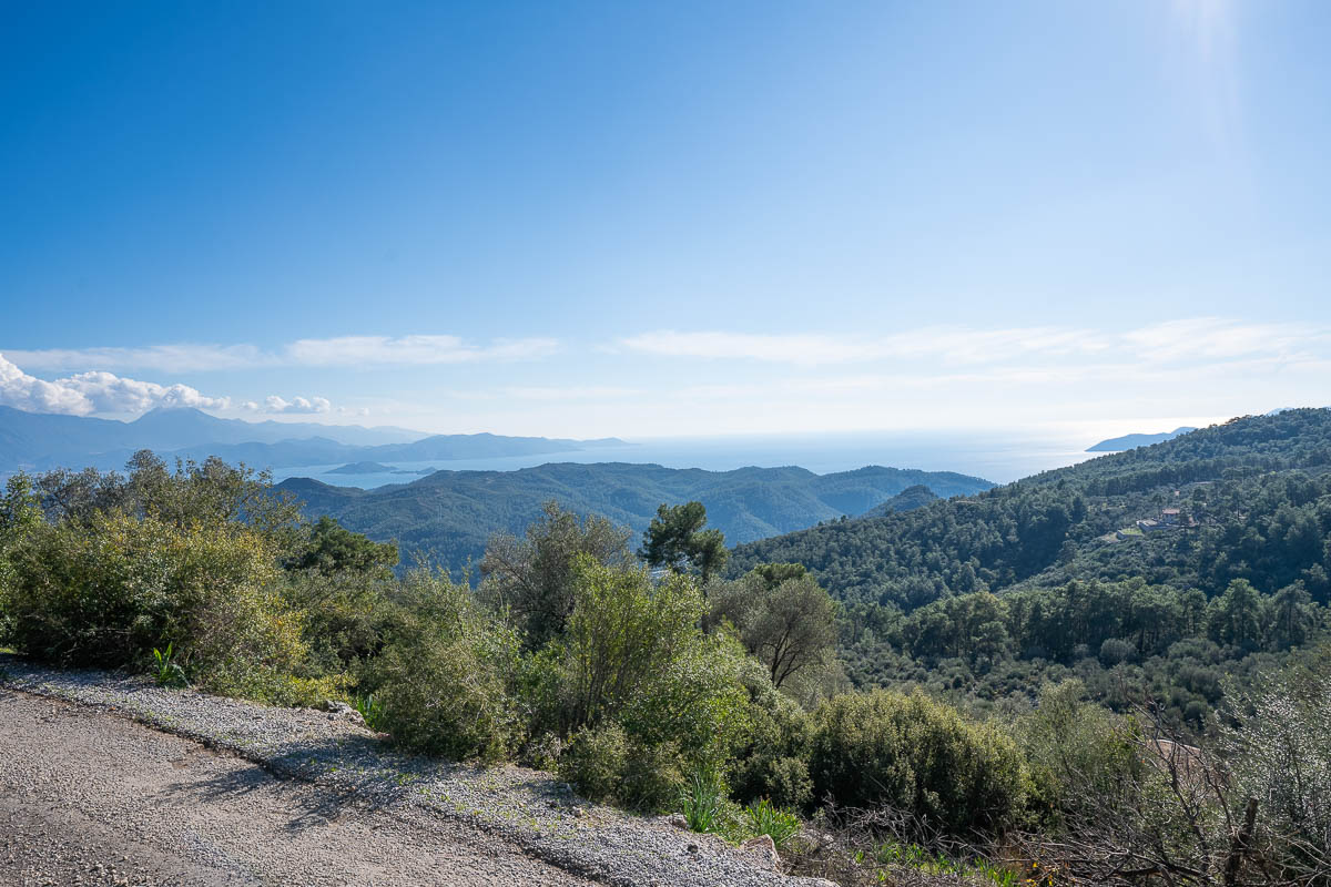 Orman İçinde Deniz Manzaralı Arazi