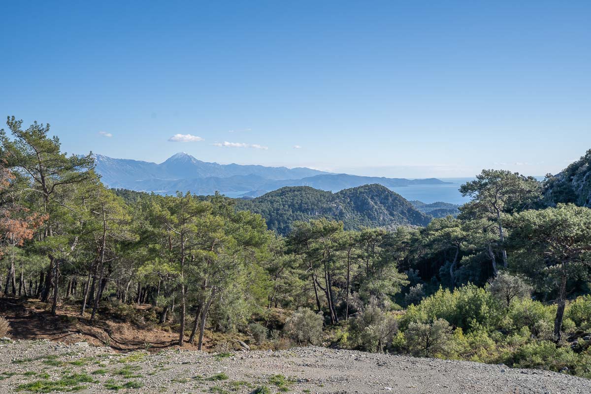 Orman İçinde Deniz Manzaralı Satılık Tarla