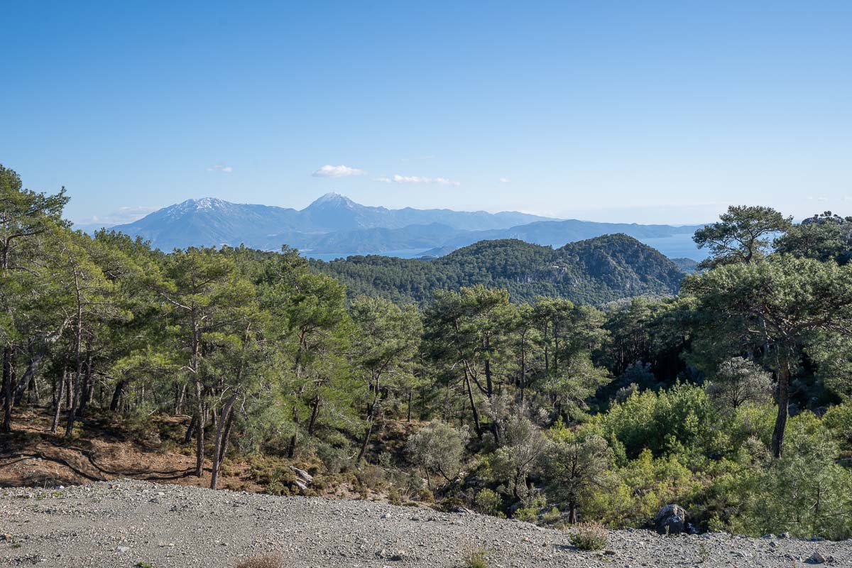 Orman İçinde Deniz Manzaralı Satılık Tarla