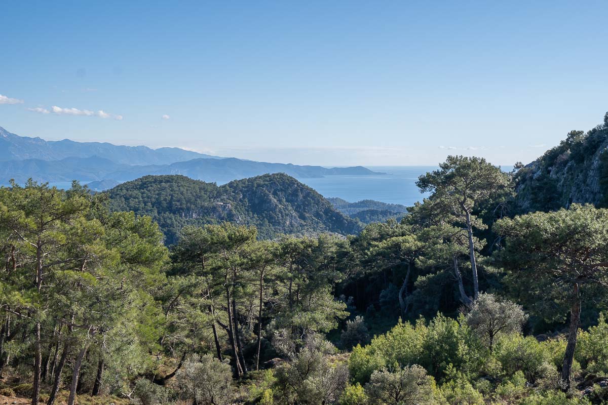 Orman İçinde Deniz Manzaralı Satılık Tarla