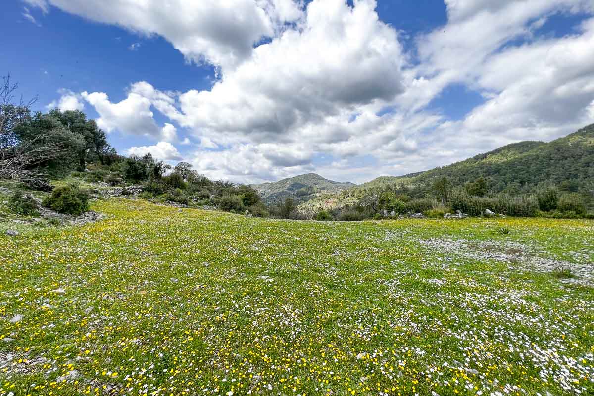 Dalaman Sabunlu’ da Satılık İmarlı Arazi