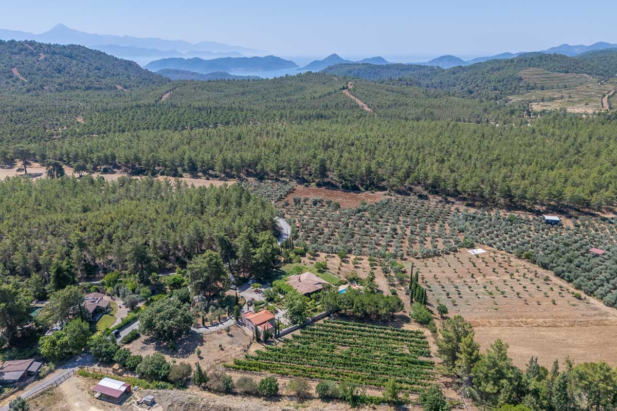 10.280 m2 Bahçe İçinde Çiftlik Evi