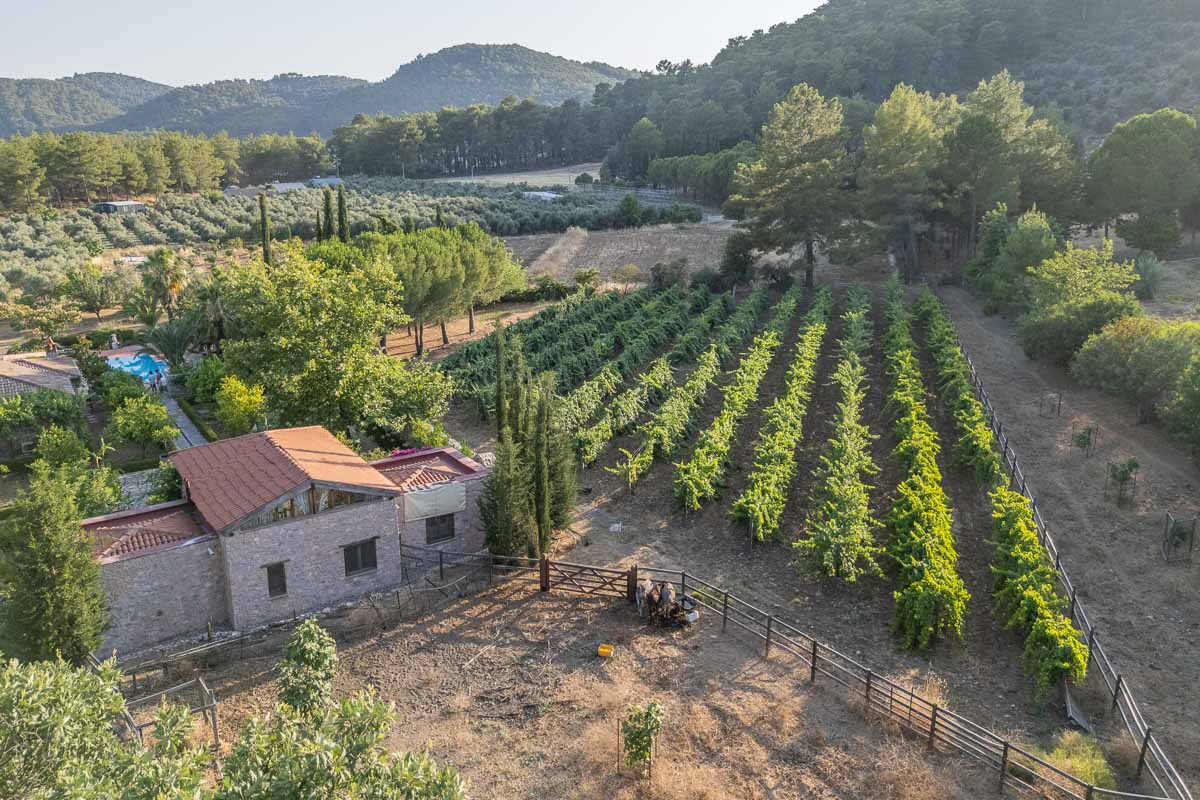 10.280 m2 Bahçe İçinde Çiftlik Evi