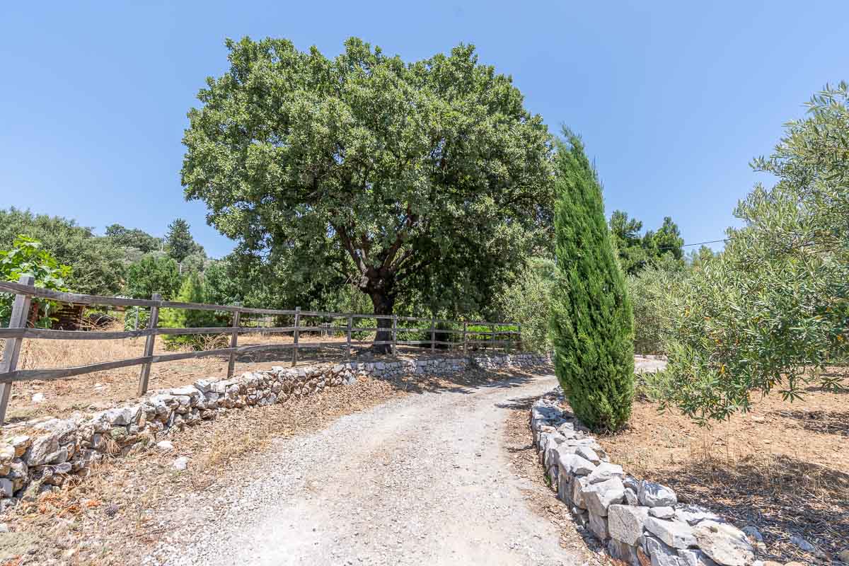 10.280 m2 Bahçe İçinde Çiftlik Evi