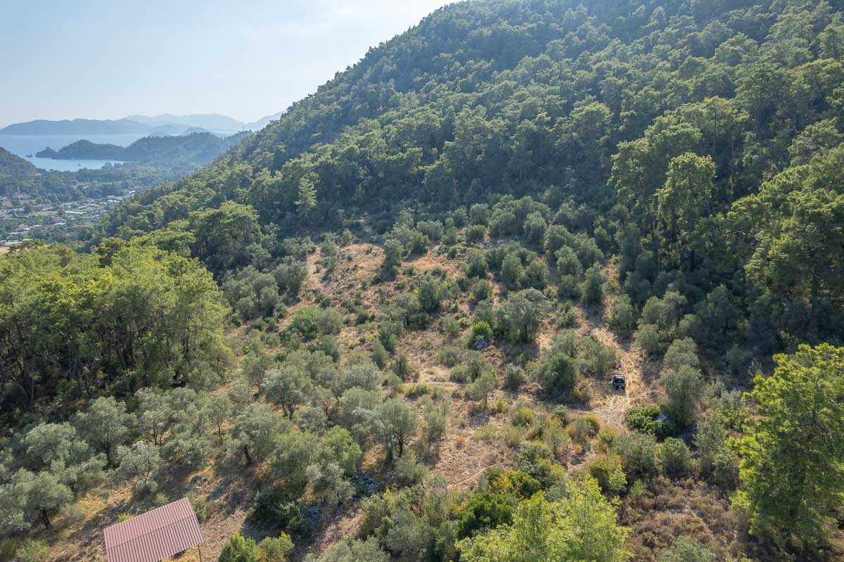 İnlice’de 20.000 m² %5 İmarlı Satılık Arazi