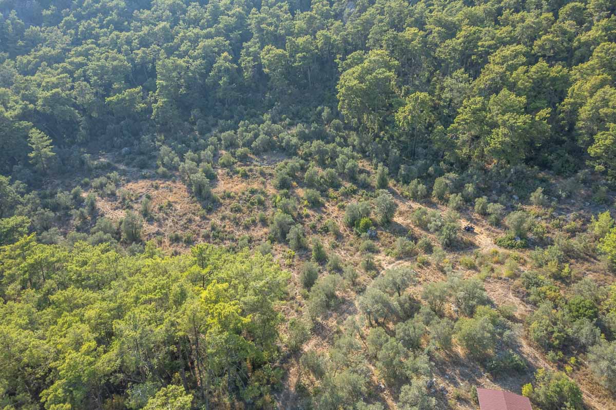 İnlice’de 20.000 m² %5 İmarlı Satılık Arazi