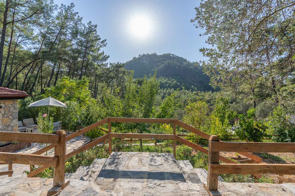 7.126 m² Arazide Havuzlu Çiftlik Evi