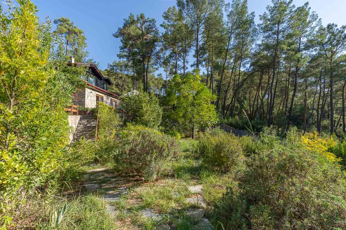 7.126 m² Arazide Havuzlu Çiftlik Evi