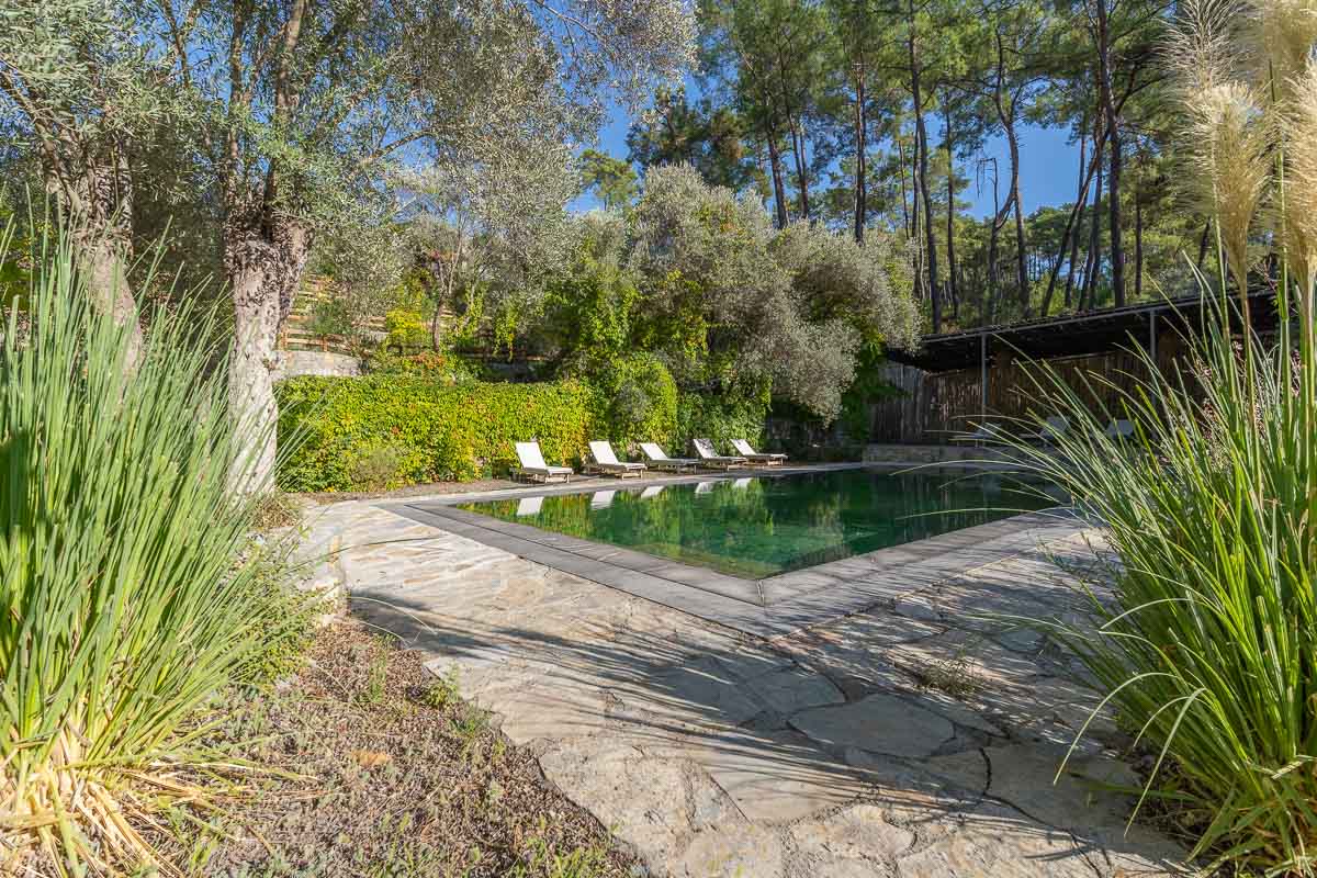 7.126 m² Arazide Havuzlu Çiftlik Evi