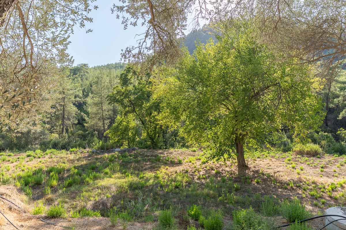 7.126 m² Arazide Havuzlu Çiftlik Evi
