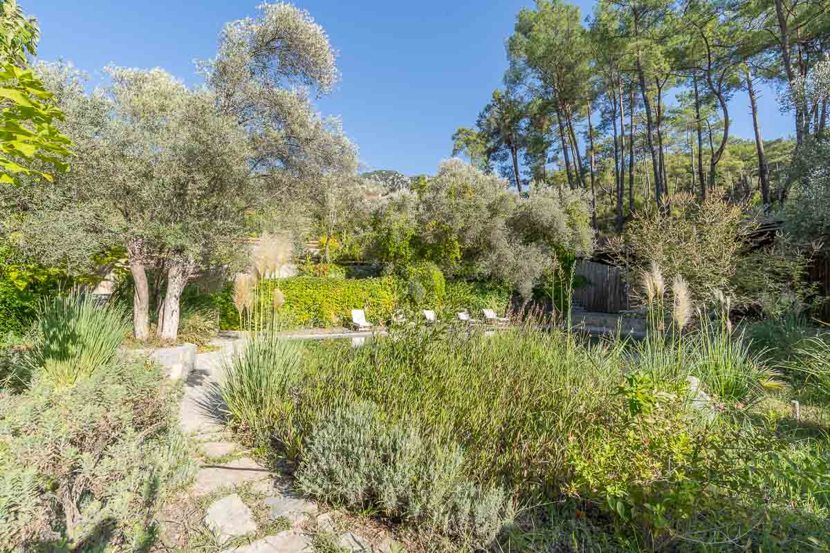 7.126 m² Arazide Havuzlu Çiftlik Evi